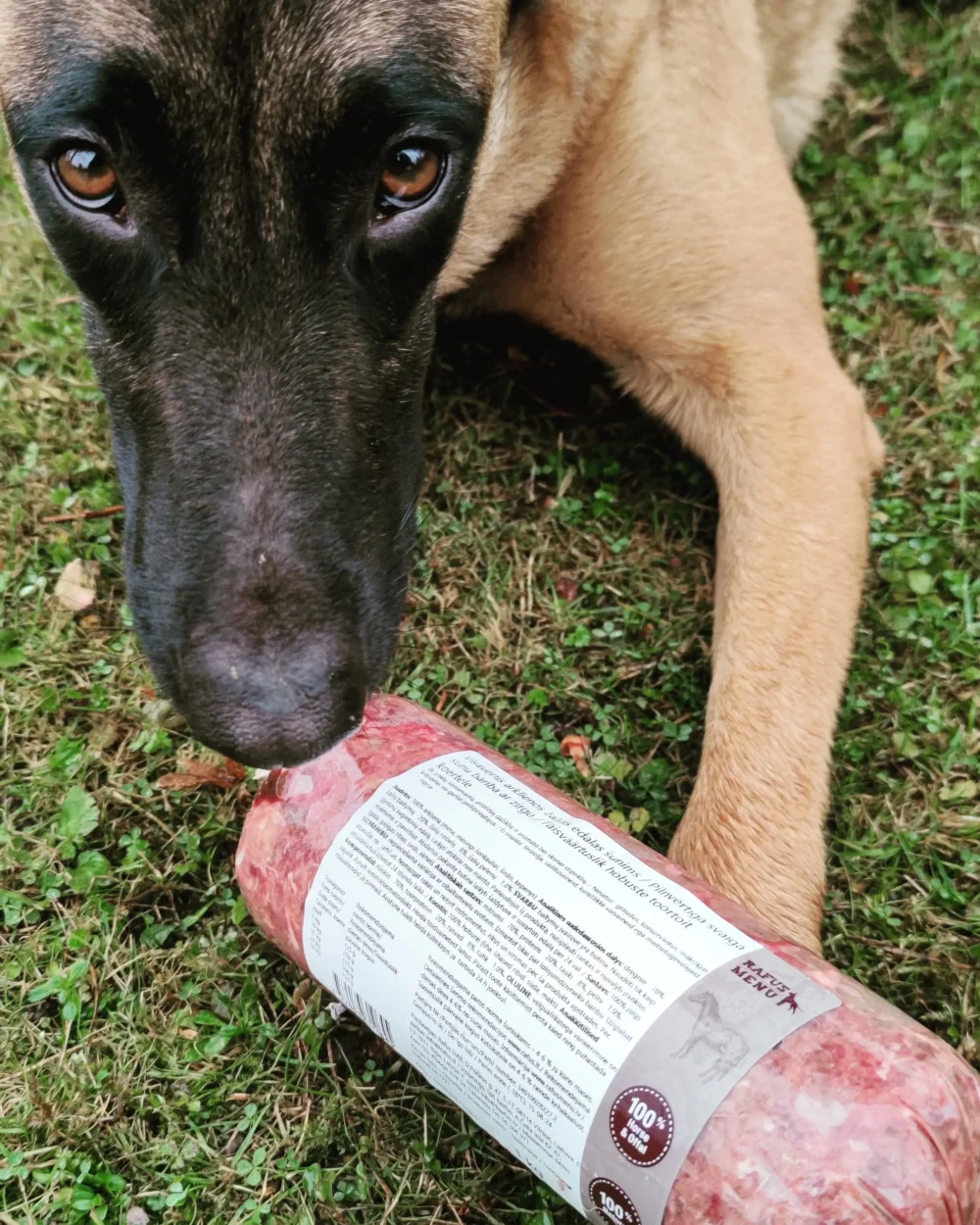 Visavertis arklienos žalias ėdalas šunims, 1 kg