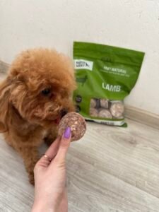 raw zalios mesos edalas sunims