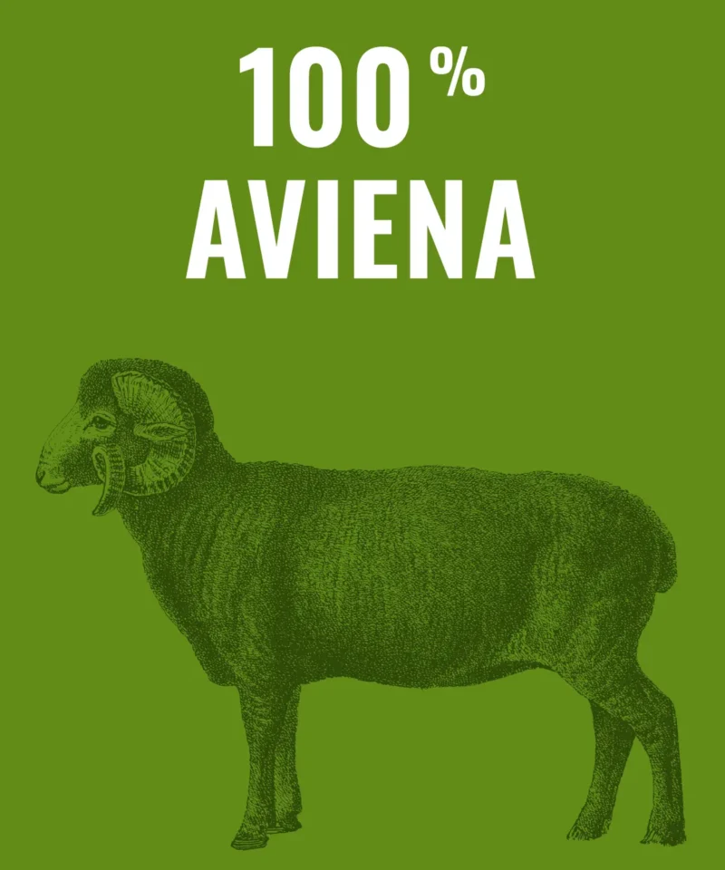 Visavertis avienos ėdalas šunims, 500 g
